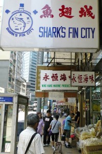Mecca for shark fin trading: Des Voeux Road in Hong Kong. Photo: Hans Peter Roth