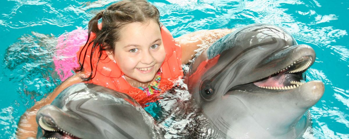 dolphin therapy, dolphin show