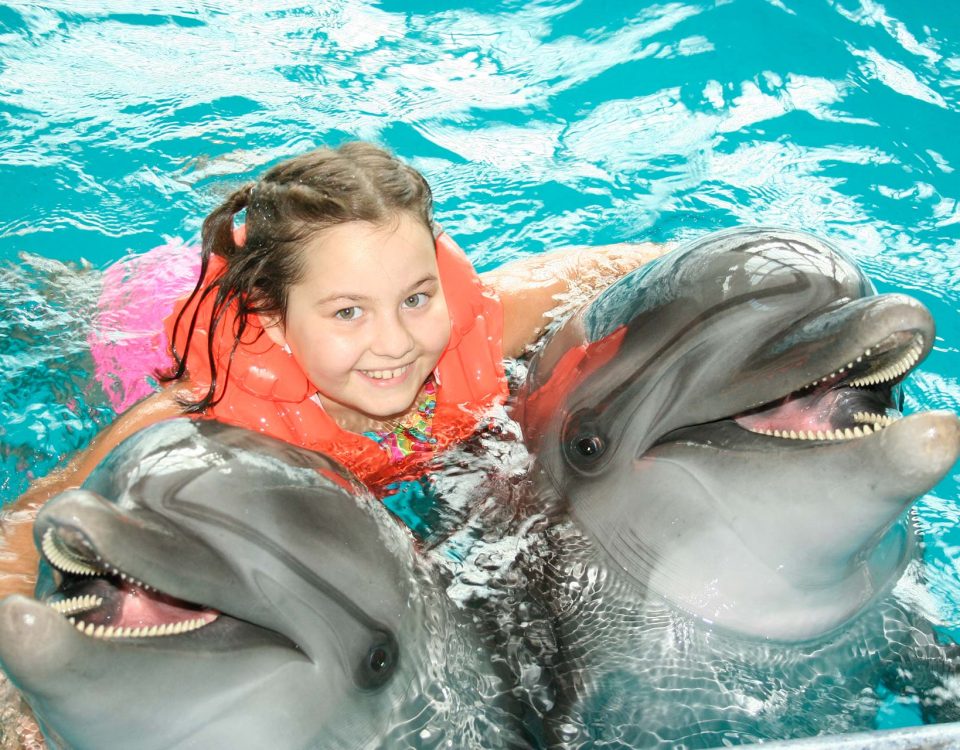 dolphin therapy, dolphin show